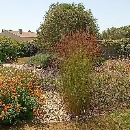 לינה וארוחת בוקר Bocage 3*
